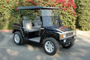 affordable golf cart rental, golf cart rent paradise, cart rental paradise