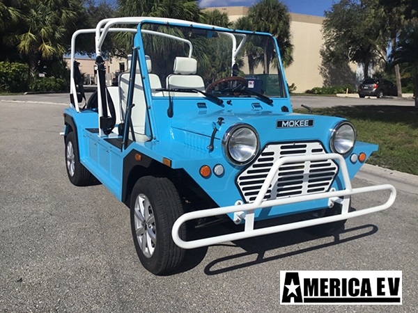 affordable golf cart rental, golf cart rent paradise, cart rental paradise